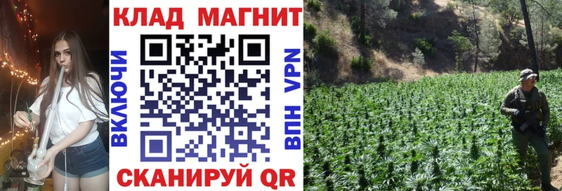 Магазины продажи наркотиков Владикавказ Канабис  A-PVP  Кодеин  АМФ  KRAKEN ONION  ГАШ  MDMA  Меф мяу мяу 