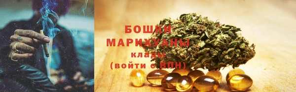 гидра Яровое