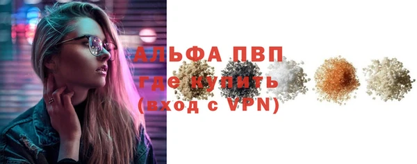 индика Магас