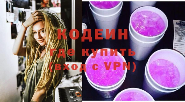 индика Магас