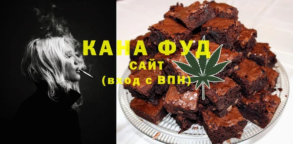 индика Магас
