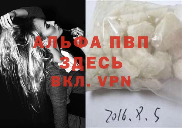 индика Магас