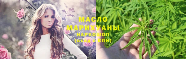 индика Магас